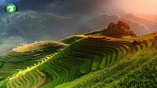 Travel Vlogs Du Lịch T&acirc;y Bắc Việt Nam (P29) - AudioBay (Nhạc kh&ocirc;ng bản quyền - Copyright Free Music)