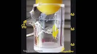 Honey & Milk Bevel Whirlwind Sidecar Banger Meltshots  #shorts #honeybeeherb #quartzbanger