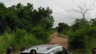 Tovegan Togo West Africa_2019