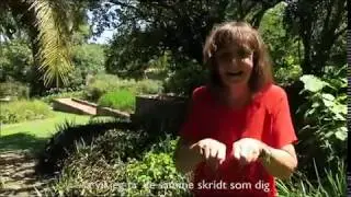 Janne Aagaard - Tigertango med fagter