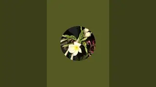 Nitu Zaman is live!