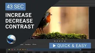 OpenShot Video Editor Tutorial: How to Increase Decrease Contrast