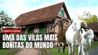 Você sabia que uma das melhores vilas turísticas do mundo fica em Santa Catarina? 🌍🇩🇪