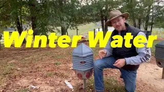 Зимняя вода для кур
