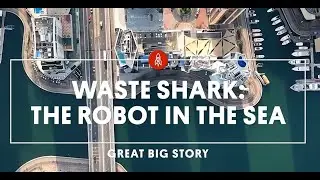 Meet Dubai's sustainable water clean-up solution - Great Big Story