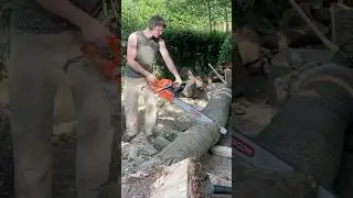 Bucking and splitting firewood with friends