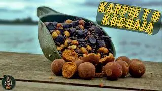 Karpie oszaleją🤩! Jesienna zanęta na karpie 🐟
