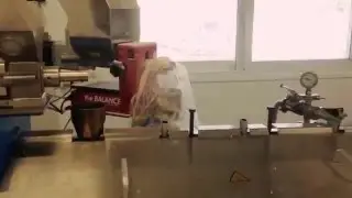 Kenaf Plastic Compound Trial