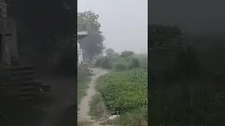 #mansoon  rajasthan me heavy rain viral video SHORT Video rain video