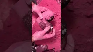 Soft Love Shape Chalk ASMR Crush Video #shorts #viral #relax