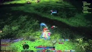 TERA Juk.Elf Archer #1