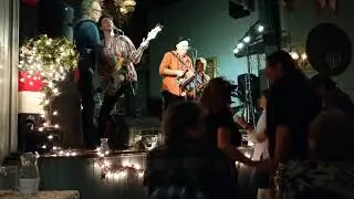 Cats on Holiday - Live from G.A.R. Hall