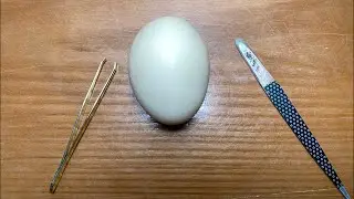 RAW EGG PEELING LIVE