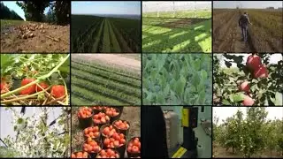 Agro-ferticrop - 20 godina inovacija