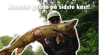 Gedde tur 🐊 p&aring; Nyborg vold 🎣