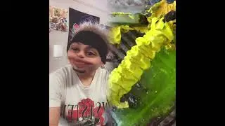 🤣👌👌👌2026 pov Must-Watch Crazy Clips Compilation #humor #fypシ #pov #fyp #foryou 😍😜