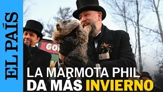 DÍA DE LA MARMOTA | Phil, la marmota de Pensilvania, pronostica seis semanas más de INVIERNO
