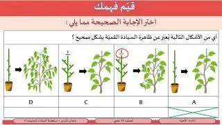 الصف 12 علمي الأحياء  استجابة النباتات للمنبهات 6  الأكسينات و اندول حمض الخليك 1