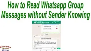 Как читать групповые сообщения WhatsApp без ведома отправителя