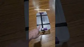 Unboxing my new highly venomous snake. #reptiles #venomoussnakes #pets #unboxing