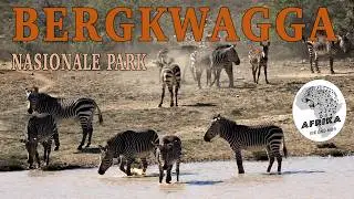 Bergkwagga Nasionale Park
