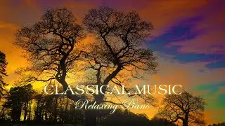 Gentle Reading Music, Helps Relax the Mind, Reduce Stress, Focus on Studying and Working Effectively