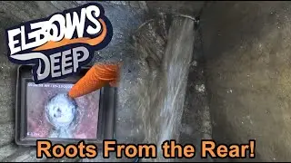 A Root from the rear at Blocked drain 76