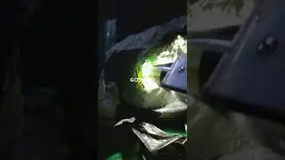 Naing Win jade Green Earth&nbsp; Welcome to boss ဖာကန့် live&nbsp;&nbsp;&nbsp; 2025 to&lrm;👌China ရွှေလီ /ရင်ကျန် ပို့ပေးပါတ
