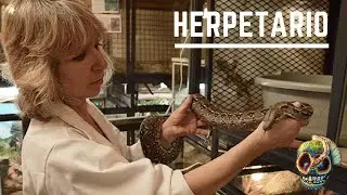 Herpetario de la UNAM. Donativos para el herpetario.  MORDIDA DE SERPIENTE DE DANIEL