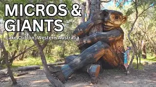 Ancient Microscopic Living Fossils and a hidden Giant - EP 166  - AS Nomads