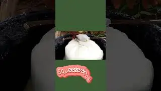 Free Garri Processing (Cassava processing, Value added products)