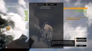 Diamond Spanish Ibex with 6.5 Rayo  /The Hunter Call of the Wild