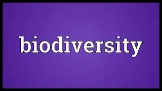 Biodiversity Meaning