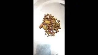 Monello Adult Cat Food Texture Review