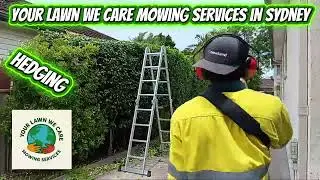 Hedging-2 (YOUR LAWN, WE CARE MOWING SERVICES-SYDNEY)