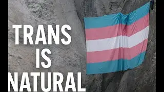 Trans Is Natural: The Trans Pride Flag on El Capitan | Protest, Visibility & Outdoor Inclusion