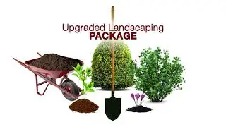 Landscaping Services