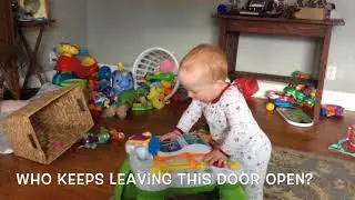 Baby's First Review: Leapfrog Learn and Groove Musical Table