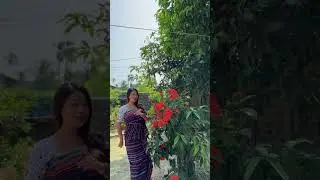 Bibar ya baryw bwla 🌻#bodo #reels #video