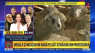 Realitatea Plus news today January 18, 2026 8 am