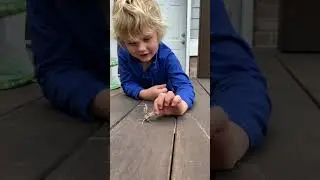 #5: Holding a Moth