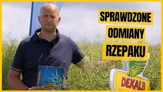 DK Excited, DK Exaura i DK Exima zapewniają sukces w uprawie