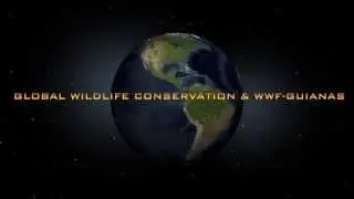 Introducing the Guyana Expedition | Global Wildlife Conservation