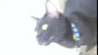869593
