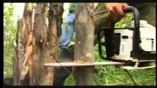 Yelnya video