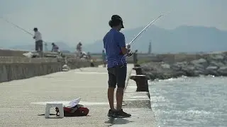 Are Europe's anglers threatening vulnerable species?