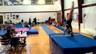 Go for the Gold Elite Sports Complex March 19 & 20, 2011.mp4