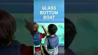 🛥️ Glass bottom boat ride in Redondo Beach 🐠