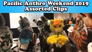Pacific Anthro Weekend'19 Assorted Clips