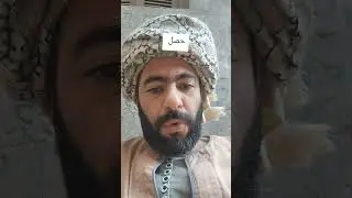 حصل